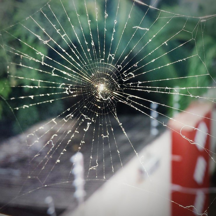 windshield replacement time