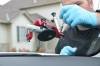 We Provide Exceptional Auto Glass Repair